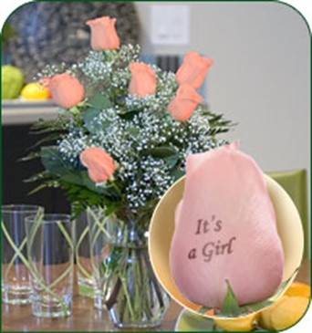 6 Pink Roses - It's a Girl