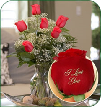6 Red Roses - I Love You