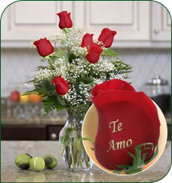 6 Red Roses - Te Amo